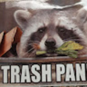 Meet your Posher, Calvin